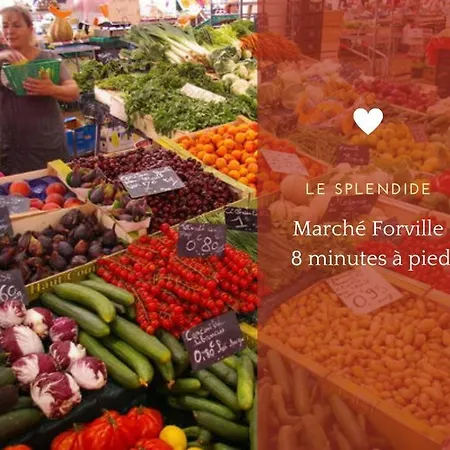 Le Splendide By Connexion Lägenhet Cannes